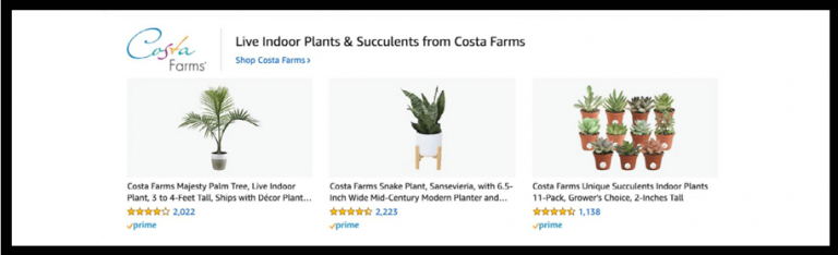 How to Start Selling on Amazon: A Beginner's Guide 61 amazon products
