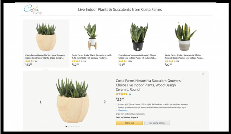 How to Start Selling on Amazon: A Beginner's Guide 63 amazon products