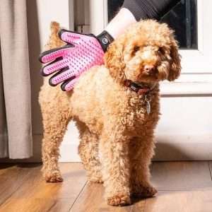 BLOG 5 pet grooming gloves 291796