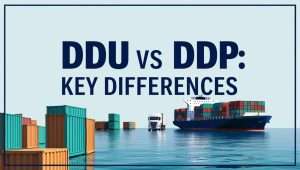 BLOG 9 DDU vs DDP